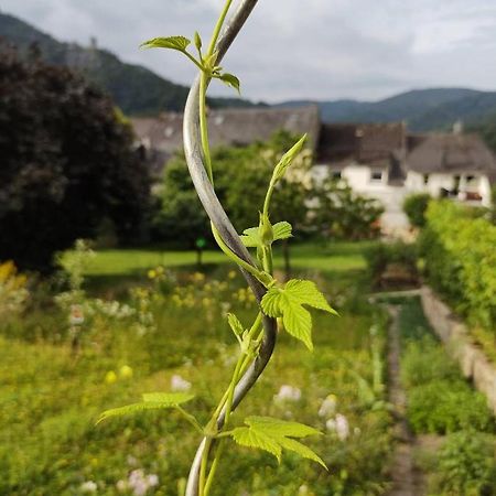 Monkey Factory - Mini Home-Stay Hostel Traben-Trarbach Bagian luar foto